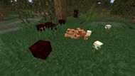 Frogs can eat magma cubes and slimes (Image via Minecraft 1.19)
